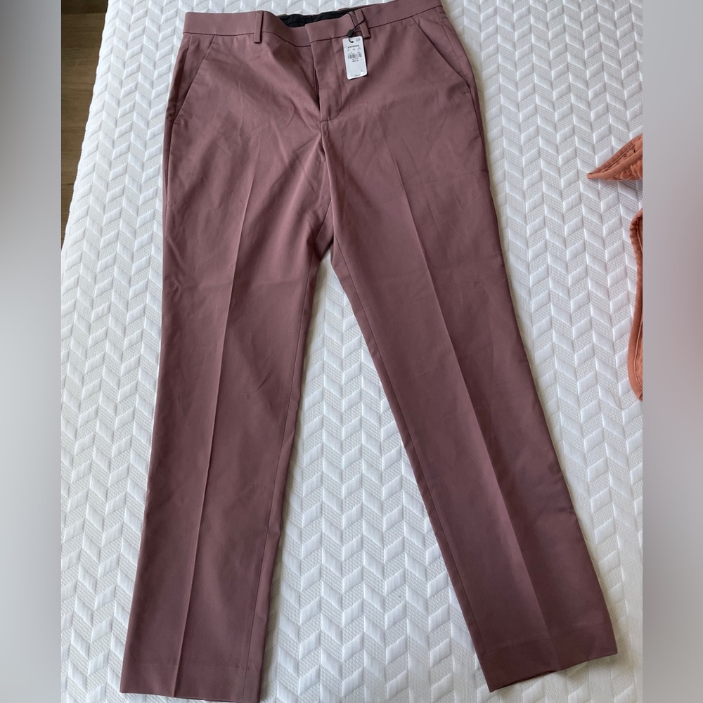 Express Men's Dusty Rose Pants